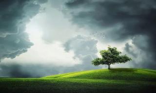 生活充满阳光的文案