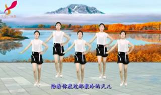 有一种爱叫放手歌词 有一种爱叫放手歌词