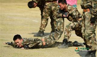 中国武警格斗术 中国武警格斗术