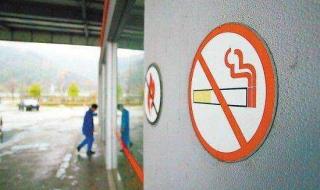 容易是恩施哪里人