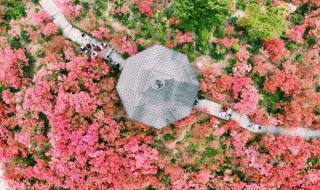 我于人间全无敌