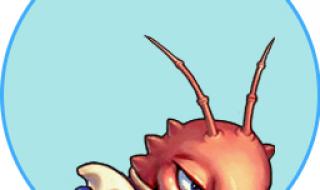 梦幻西游唯美版图片 梦幻西游唯美版图片