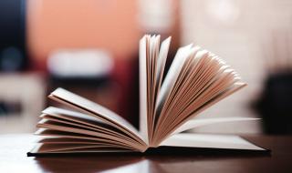 大熊猫丫丫身上有血洞 大熊猫丫丫身上有血洞