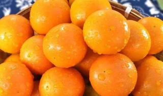 清香的橘子动漫 清香的橘子动漫