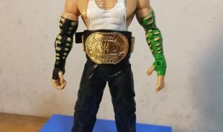 wwe摔跤手全部名单图片 wwe摔跤手全部名单图片